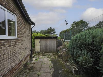 Picture 20